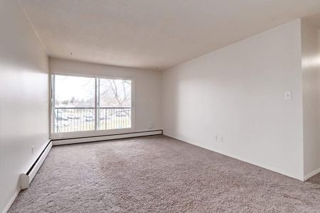 1 Bedroom - Photo 4