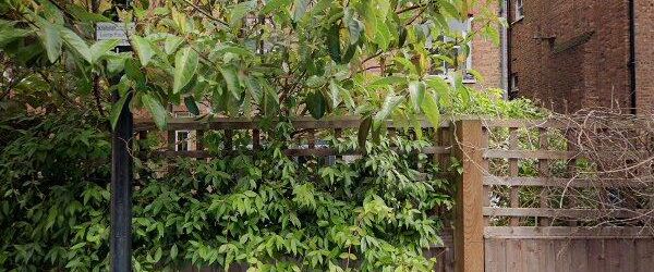 Room in a Shared House, London, N8 - Photo 1