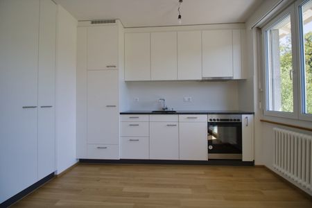 2 Zimmer, 48 m², 1. Stock - Foto 3
