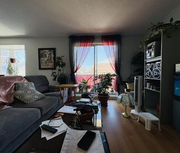 Appartement 4 ½ à louer Neufchâtel / Lebourgneuf juillet 2026 - Photo 3