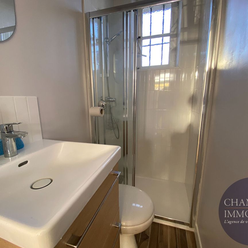 Maison Meublée à Blois Vienne - Photo 1