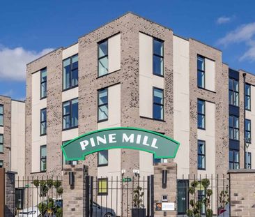 Silver Ensuite - Photo 3