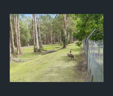 UNIT 24/181 LAE DRIVE, Coombabah, Qld 4216 - Photo 3
