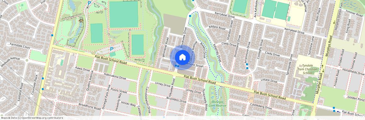 2 Sycamore Street, Flat Bush, Manukau City