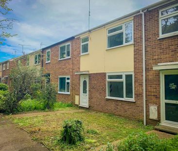 3 bedroom terraced house to rent - Photo 3