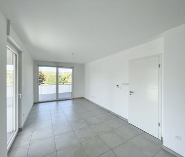 MITTELHAUSBERGEN, 67206, Mittelhausbergen - Photo 2