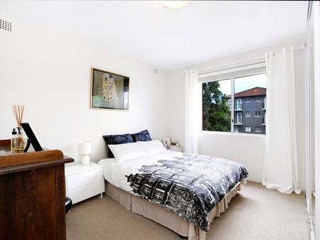 INNER WEST LIVING AT ITS BEST! - Photo 3