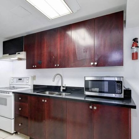 Spacious 2Bedroom Furnished suite for rent - Photo 1