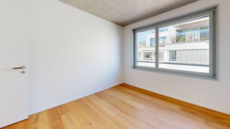 4.5-Zimmer Neubau-Erstbezug am Fusse des Uetlibergs - Foto 3