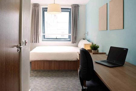 Bronze Studio Lower Level - Photo 4