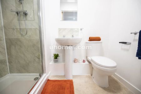 PLUS Superior Studio - Photo 5