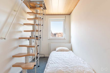 Huis met vier slaapkamers in Leuven - Photo 2