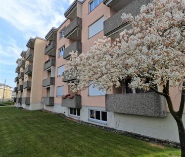 Wunderbare 3.5 Familienwohnung mit Spielplatz. Moderne Küche und Au... - Photo 5