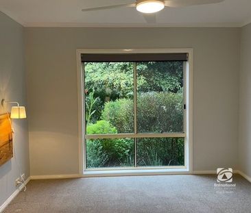 IMMACULATE - Photo 6