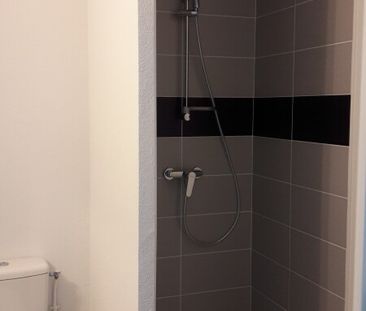 Location Appartement 1 pièce 21m² ISLE 87170 - Photo 3