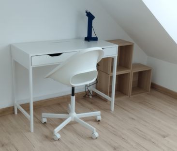 Beau studio avec place de parking - Quartier Saint Anne - Photo 2