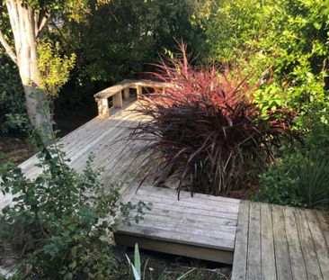 Cute and comfortable in Maori Hill - Available 13/10/2025 - Photo 5