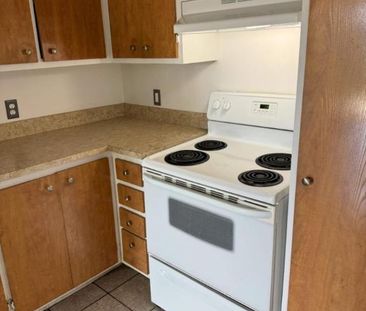 1 CH - 1 SDB - Côte Saint-Luc - $1,400 /mo - Photo 2
