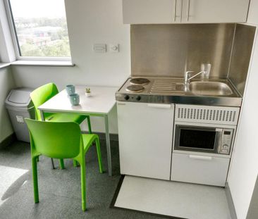 1 bedroom private hall to rent - Photo 4