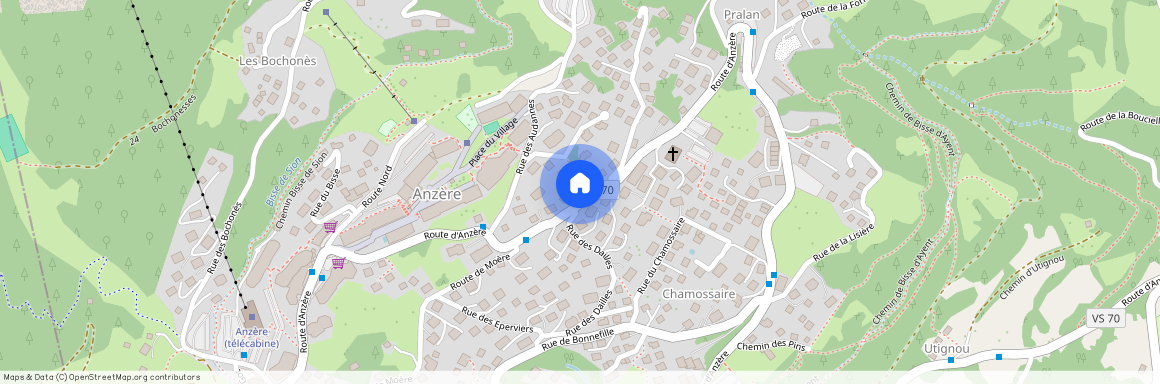 AV 15 /Lion - 111, 1972 Anzère