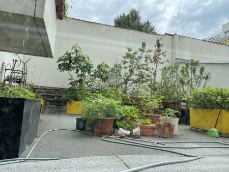 Beautiful and furnished 107 m² 4 room apartment with terracce for rent in 1210 Vienna located directly at the Obere Alte Donau! - Foto 4