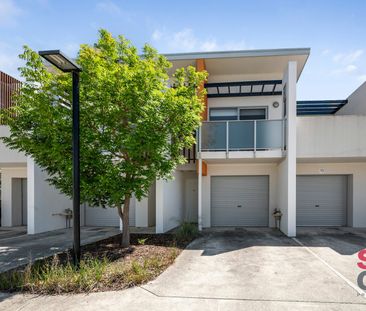 3/6 Sapling Street, Harrison ACT 2914 - Townhouse For Rent | Domain - Photo 1
