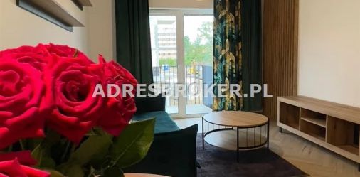 Mieszkanie, wynajem Gliwice, Wojska Polskiego - Zdjęcie 2