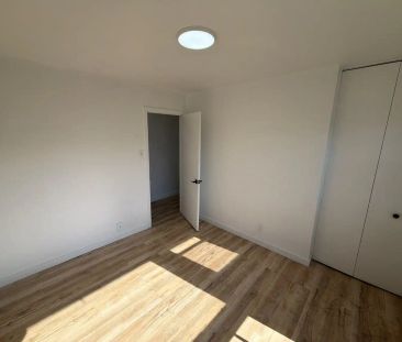 6351 Bd Joseph-Renaud — 4-1/2 - Photo 1