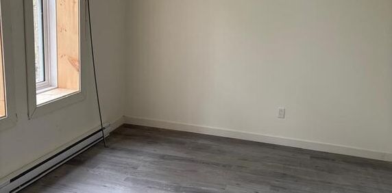 5 1/2 à Hochelaga-Maisonneuve - Photo 2