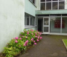 À louer / Appartement F1 / BESANCON QUARTIER ST-FERJEUX 26 rue Char... - Photo 3