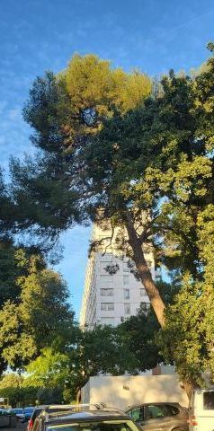 Appartement 4 Pièces 66 m² - Photo 2