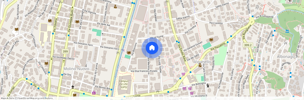 6962, Viganello, Via Merlina, 28