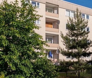 Raum für Leben – Großzügige Erdgeschosswohnung in Detmerode - Photo 5