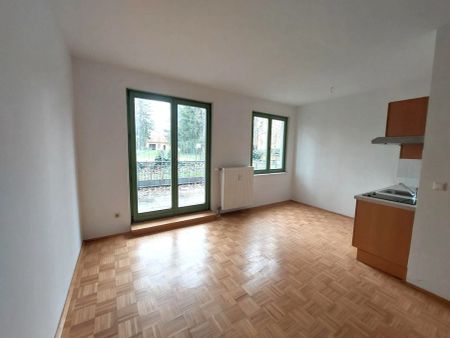 SINGLE-HIT: Schöne Klein-Wohnung bei der KF-UNI mit TERRASSE - Heinrichstraße 47b Top 10A - Photo 5