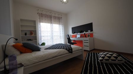 Via Santa Chiara, Turin, Piedmont 10122 - Photo 5