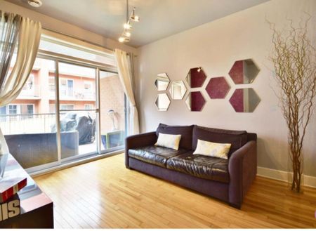 1265 Rue St-Grégoire, app.14, H2G 0A4, H2G 0A4, Montréal - Photo 3