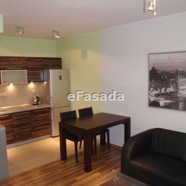 EFS-MW-60 Mieszkanie na wynajem - Фото 1