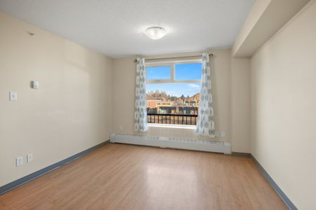 Lovely 1 Bedroom Apartments in the Heart of Red Deer! - Photo 4