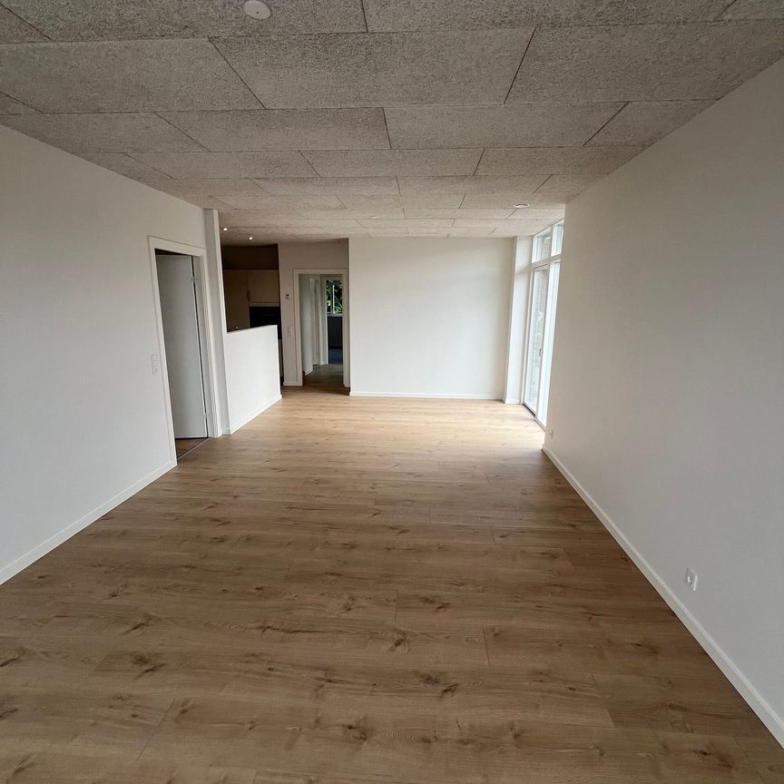 NYBYGGET, ENERGIVENLIGE OG MODERNE RÆKKEHUSE TIL LEJE PÅ JOHAN DEN MILDES VEJ - Foto 1