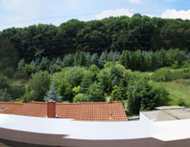 Maisonettewohnung 4 Zimmer Stadtrand - Photo 1