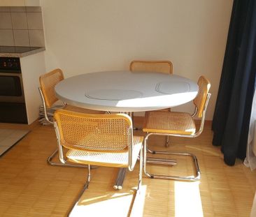 In the middle of the city, in the middle of life - Foto 2