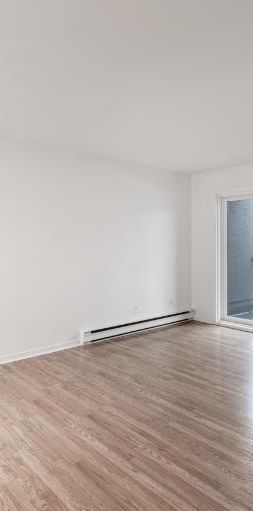 Appartement 4 ½ à louer Sainte-Foy / Sillery novembre 2025 - Photo 1