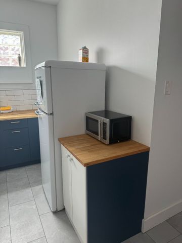 484A Gladstone Avenue Ottawa ON K1R 5N8 - Photo 3