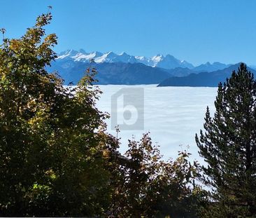 HERVORRAGENDE AUSSICHT AUF DEN RIGI - Photo 3