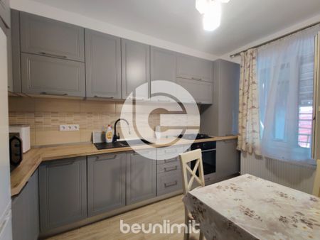 Închiriere casă pet friendly - 3 camere - Curte - Semineu - Photo 5