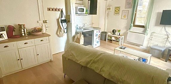 Location Appartement 1 pièce 23m² GAILLAC 81600 - Photo 2