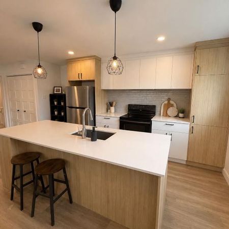 Grand 3 ½ au rez-de-jardin libre pour septembre 2026. - Photo 3