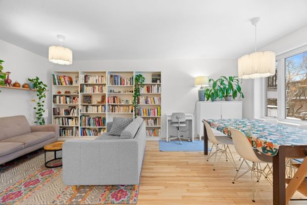 Appartement à louer - Montréal (Rosemont/La Petite-Patrie) (Vieux-Rosemont) - Photo 1