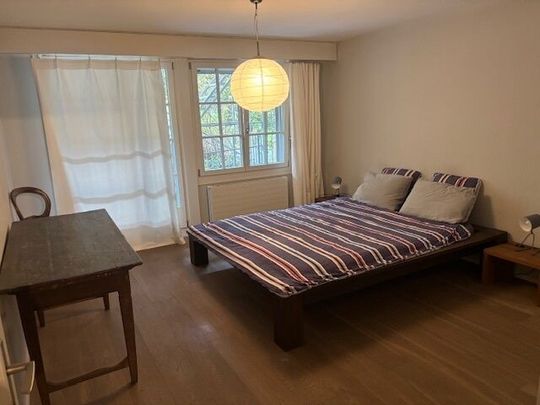 31/2-ROOM APARTMENT IN BERN - MAT, FURNISHED, TEMPORARY - Photo 1