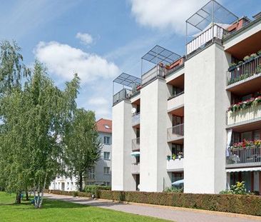 Sanierte 2 Zimmer Wohnung mit kleiner Terrasse! - Foto 1